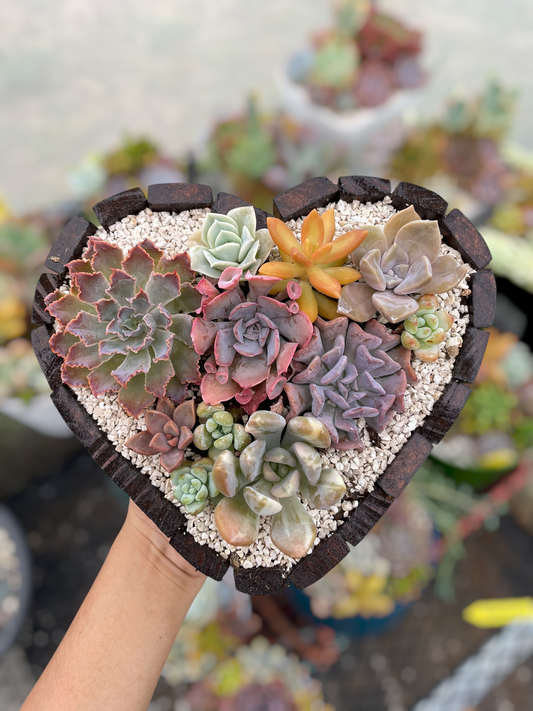 Arreglo corazón