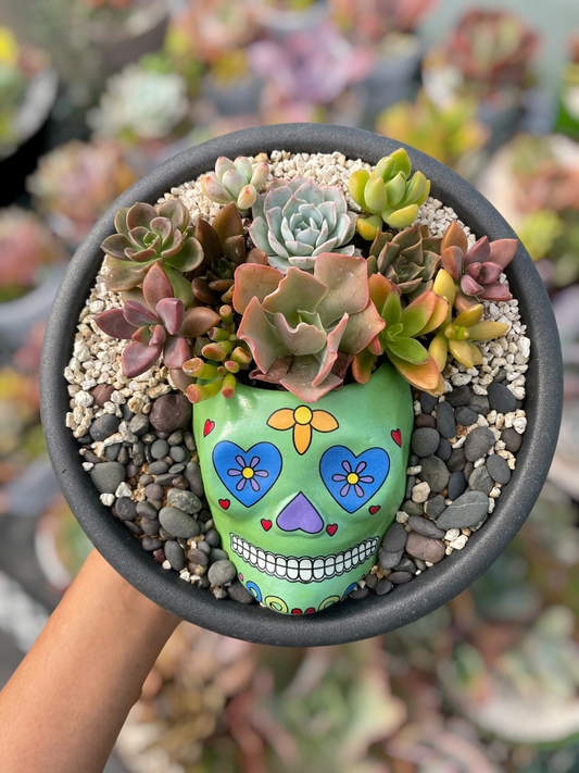 Arreglo catrina