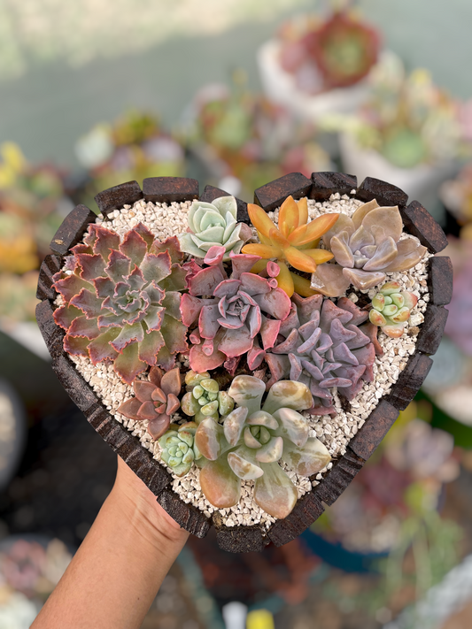 Arreglo corazón