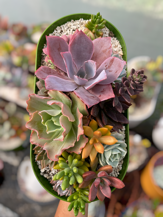 Arreglo jardinera 1
