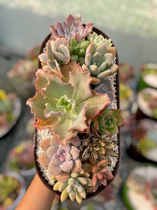 Arreglo jardinera 6