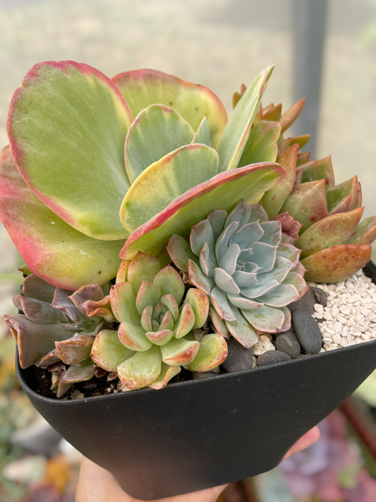 Arreglo negro alto