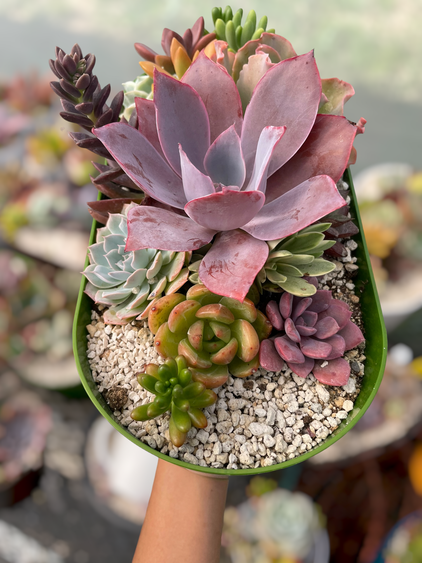 Arreglo jardinera 1