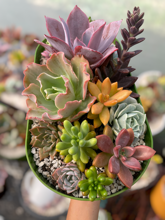 Arreglo jardinera 1
