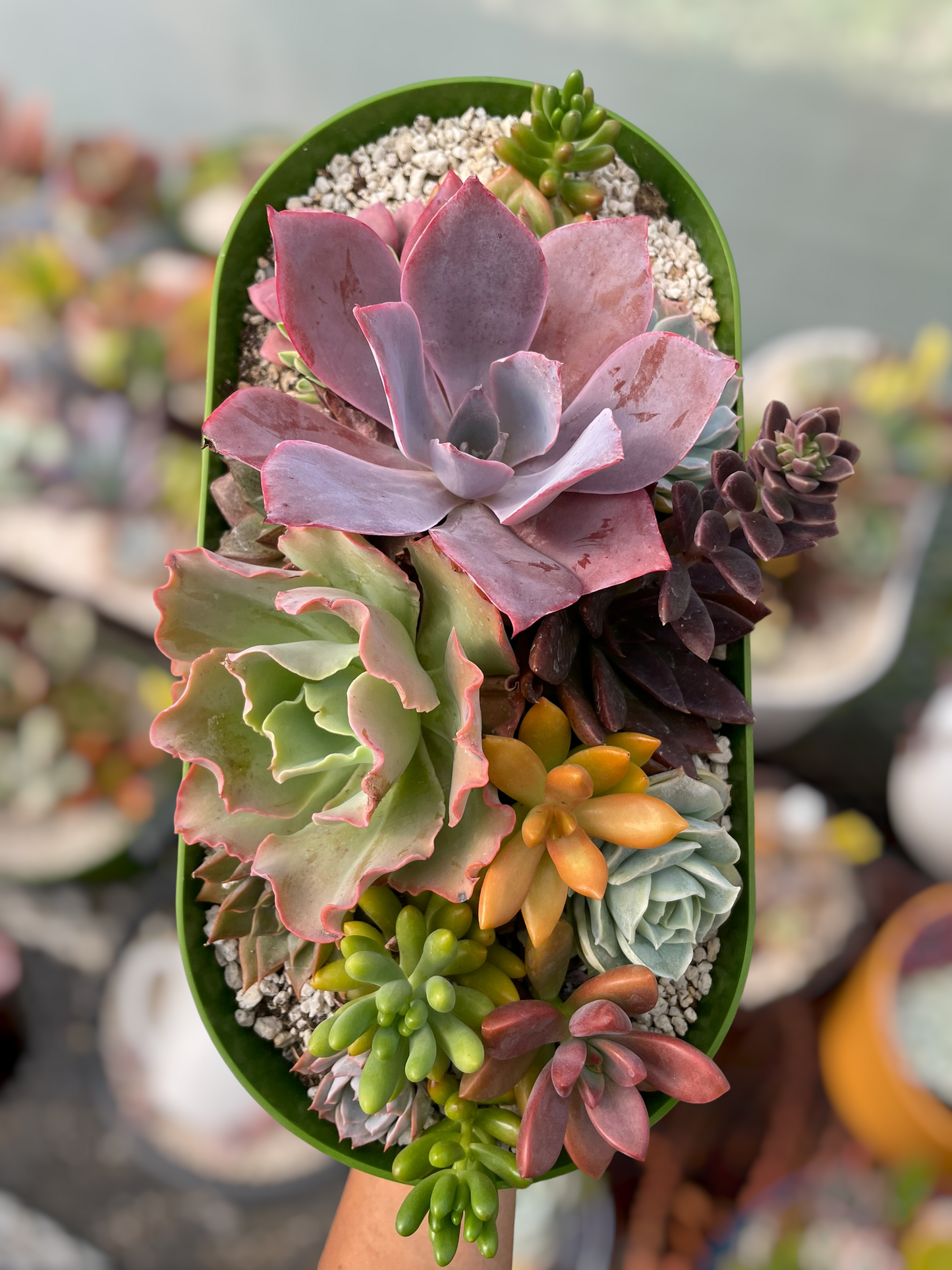 Arreglo jardinera 1