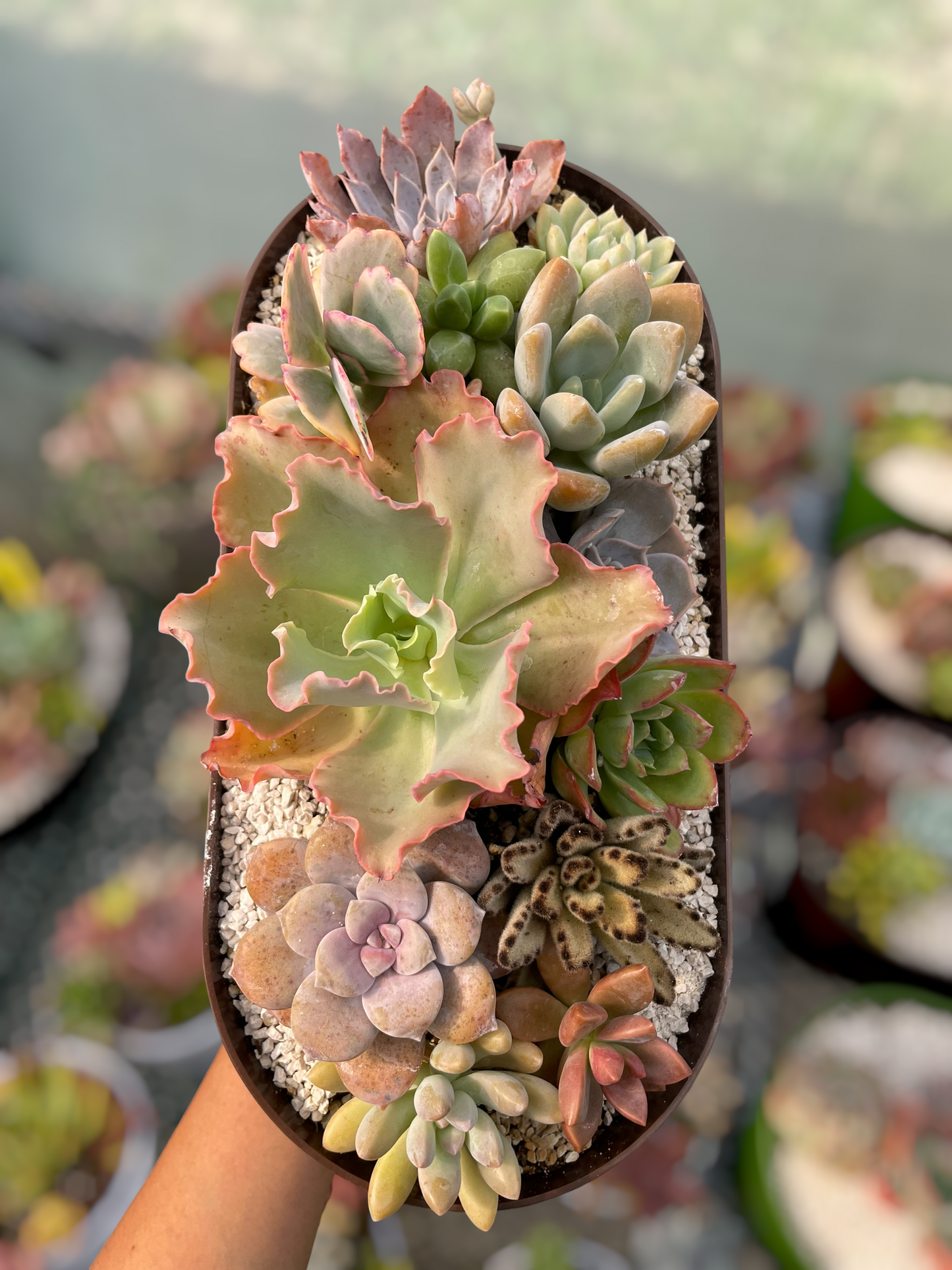 Arreglo jardinera 6